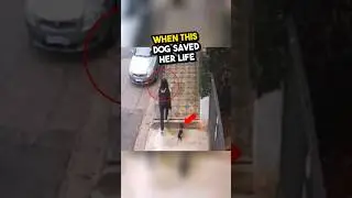 Эта собака спасла жизнь этому ребёнку! 🥺❤️😱