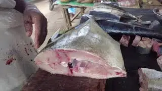 நிந்தவூரில் மீன் வெட்டும் கலை 🐟 |Skillful Fish Cutting Art |Real Feel Moments @AshrofAmeer #RockFish