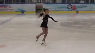 2nd adult category, free skating, 2019