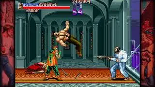 Final Fight ( 1 player ) Hagger