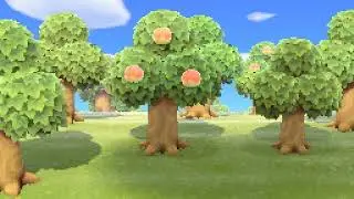 Animal Crossing Forest Ambience: Realistic Soundscape 🌳🍑😺