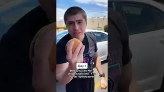Воспоминания: первый день уничтожения чизбургера Тео! 🍔
