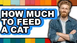 How Much to Feed a Cat 2025 - Easy Guide
