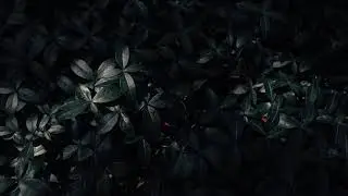 Hans Zimmer - A Way of Life (Slowed + reverb)