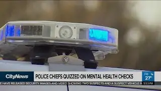 Committee on systemic racism in policing looks at mental health checks