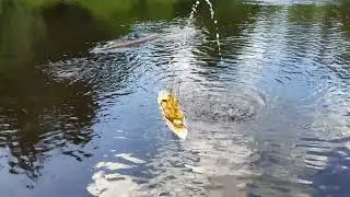 Schlesien sinks like a submarine