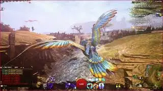 griffon challenge 1