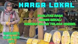 HARGA LOKAL KUALITAS RASA MANIS SEKALI NANGKA SALAK TELAGA NGEBEL PONOROGO