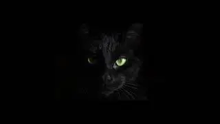 Edgar Allan Poe 'The Black Cat' Narrated by Christian H Miles