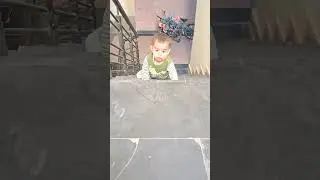 Up Down Up Down 📶😁 #cutebaby #20monthsold #mastimoment #stairs #04oct #trendingshorts #youtubeshorts
