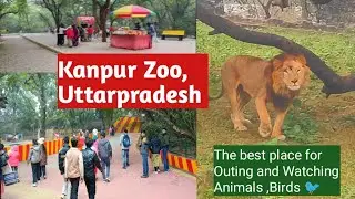 Kanpur Zoo, Kanpur Zoological park, January 2026 Uttarpradesh #travel #video #photography 