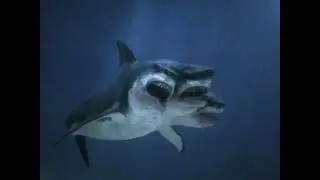 3 Headed Shark Sounds