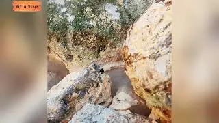 Hot Spring, Tapovan  way to NEETI VALLEY