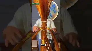 Handmade Copper Wire Bonsai Tree Amazing Art! 🔥 #Shorts#youtubeshorts #bonsai