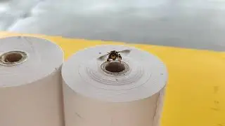 OnePlus 7t Slow motion 480 fps