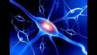 Bioenergetics for F Sc first year biology