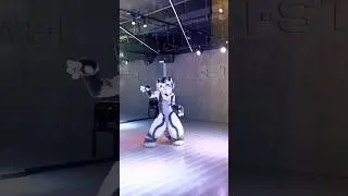 What's this?! A furry in a dance studio? The dancing tiger covers 'Magnetic' by ILLIT!