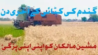 Wheat crop harvesting| harvesting inter in last days| randhawa vlog
