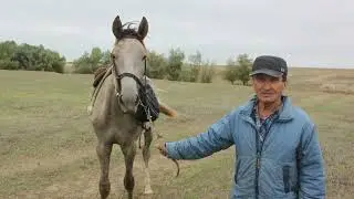 Алгабас - Маштаково. 