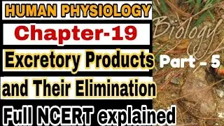 NCERT Ch-19 Excretory Products and their elimination Class XI Human Physiology lecture 5 Boards
