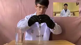 Laboratory Experiment: Natural pH Indicator using Eggplant Peels