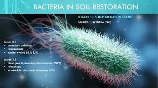 Lesson 3.1 -  Introduction to soil bacteria