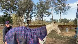 Rug Safety Friday Fundamentals