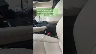 Unexpected passenger: hilarious frog in car!#frog #car #funny #wildlife