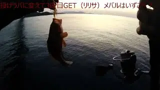 因島大橋下　ベイトフィネスでメバリング・投げラバ・エギング　～メバル最近減ったよね・・・アコウも良いけどね～