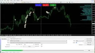 Trailing Pending Stop Order EA MT4