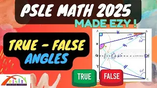 PSLE Math PSLE 2025 Math Made Easy  - True-False Angles