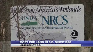 Most CRP Land In South Dakota Since 1998
