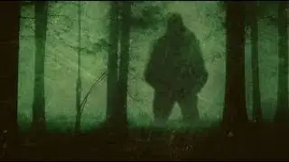 Top 10 Disturbing Forest Discoveries Humans Were Never Meant To See ‼️