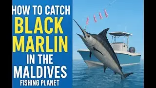 How to Catch Black Marlin on Noomaa Kuda Atholhu &ndash; Fishing Planet Guide