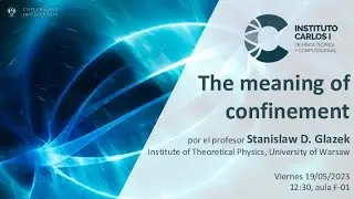 Stanislaw D. Glazek: The meaning of confinement