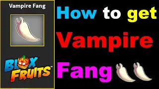 How to get Vampire Fang in Blox Fruits #roblox #bloxfruits