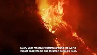 Collective action to reduce wildfire risk - Short version