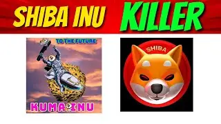 Kuma Inu - Shiba Inu KILLER!!! #cryptomasterclass #kumainu #shibainutoken #shib #kuma #crypto #doge