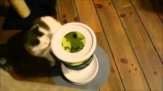 V&eacute;&eacute;l te slimme kat :D