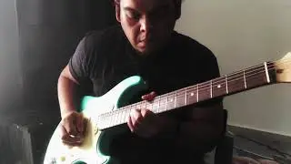 HILCS GUITARS - Standard Series