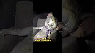 Something Was Watching Me First | Part 2