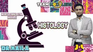 Cartilage histology (Revision + MCQ)