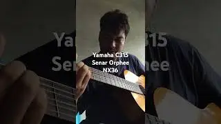 Yamaha C315 pakai senar Gitar Klasik Orphee NX36