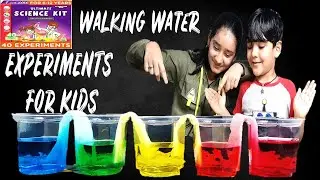 Ultimate Science kit Experiments | Einstein Box | Science Experiments for kids | Little Scientist