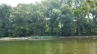 Natural Springs and wetlands within it's wooded revines and trails.Epi 02.🚶&zwj;♀️🇺🇸