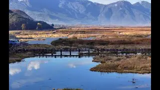 雲南旅行系列之瀘沽湖草海走婚橋