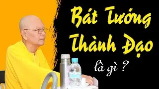 BÁT TƯỚNG THÀNH ĐẠO là gì ? - Trích đoạn Đại Bát Niết Bàn 107 - HT.Từ Thông