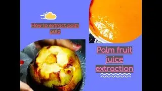 How to extract palm pulp/Palm fruit juice extraction/How To Extract Palm Fruit Pulp Easily & Quickly