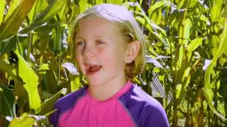 A corn maze helps a New York farm increase its business