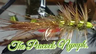 The Peacock Nymph.